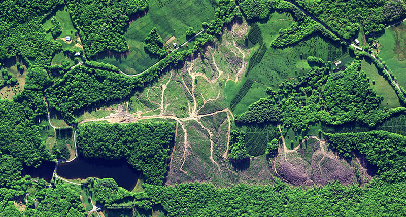 Cherokee_National_Forest_Tennessee_RGB_800x428